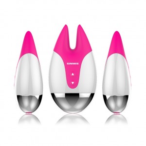 Waterproof Clitoris Vibrator with 10 Vibration Rechargeable Nipple Sex Toy For Female