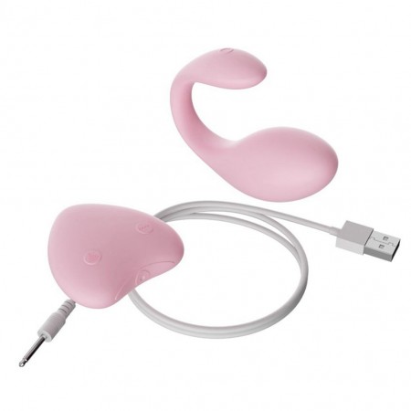 Rechargeable Silicone Wireless control G Spot Vibrators Female