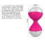 Nalone 7 Model Wireless Remote Control Kegel Balls Vagina Tight Exercise Waterproof