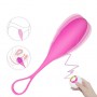 Wireless Remote Vibrating Egg Ben Wa ball Kegel ball Vaginal Exercise USB Rechargeable for female