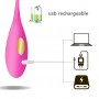 Wireless Remote Vibrating Egg Ben Wa ball Kegel ball Vaginal Exercise USB Rechargeable for female