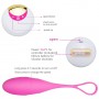 Wireless Remote Vibrating Egg Ben Wa ball Kegel ball Vaginal Exercise USB Rechargeable for female