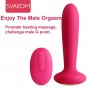 SVAKOM Wand Massager G Spot Vibrator For Women and Butt Anal Plug Vibrator for Man